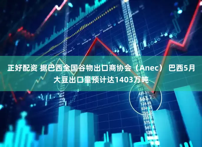 正好配资 据巴西全国谷物出口商协会（Anec） 巴西5月大豆出口量预计达1403万吨