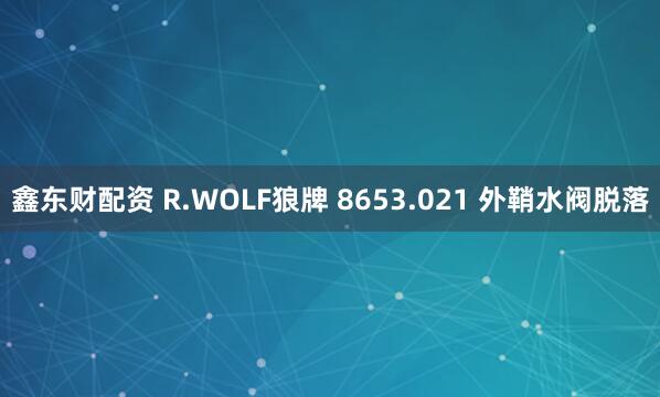 鑫东财配资 R.WOLF狼牌 8653.021 外鞘水阀脱落