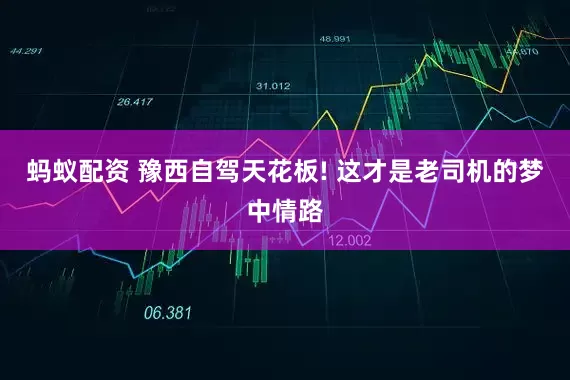 蚂蚁配资 豫西自驾天花板! 这才是老司机的梦中情路